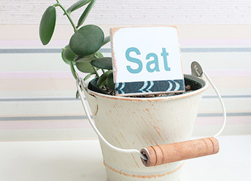 特徴04のイメージ画像